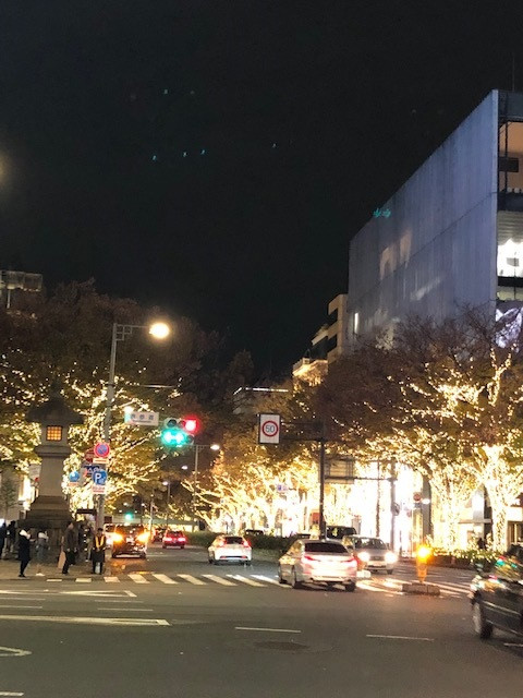表参道イルミネーション始まりました。